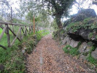 cantara gurne06-01-2014 19-27-45